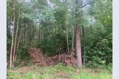 000 Wildwood Flower Circle, Livingston, TX 77351 - Photo 2