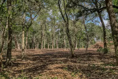 Tract 2 Sun Oil Road, Brenham, TX 77833 - Photo 12