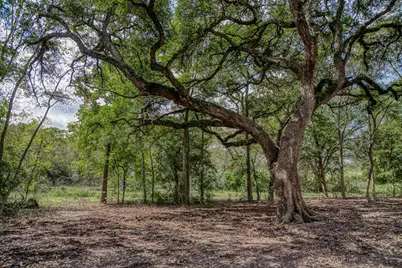 Tract 2 Sun Oil Road, Brenham, TX 77833 - Photo 10