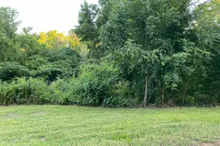 00 White Oak Dr, Point Blank, TX 77364 - Photo 1