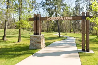 27054 Golden Knoll Drive, Magnolia, TX 77354 - Photo 24