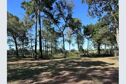 5.3 Ac Tbd -2 Spring Branch Rd, Montgomery, TX 77316 - Photo 26