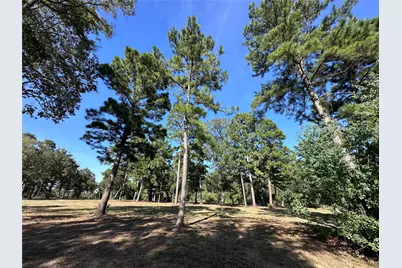 5.3 Ac Tbd -2 Spring Branch Rd, Montgomery, TX 77316 - Photo 16