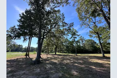 5.3 Ac Tbd -2 Spring Branch Rd, Montgomery, TX 77316 - Photo 14