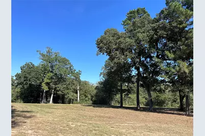 5.3 Ac Tbd -2 Spring Branch Rd, Montgomery, TX 77316 - Photo 22