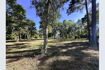5.3 Ac Tbd -2 Spring Branch Rd, Montgomery, TX 77316 - Photo 28