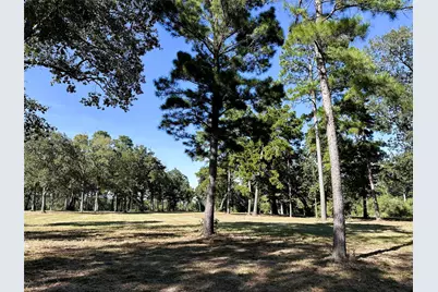 5.3 Ac Tbd -2 Spring Branch Rd, Montgomery, TX 77316 - Photo 12