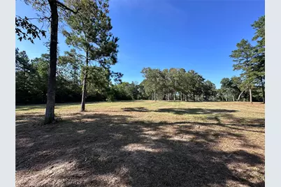 5.3 Ac Tbd -2 Spring Branch Rd, Montgomery, TX 77316 - Photo 18