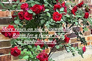 200 Fountain Lake W, Livingston, TX 77351 - Photo 22