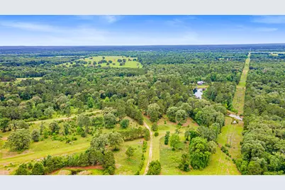 Tbd Ben Blair Road, Trinity, TX 75862 - Photo 4