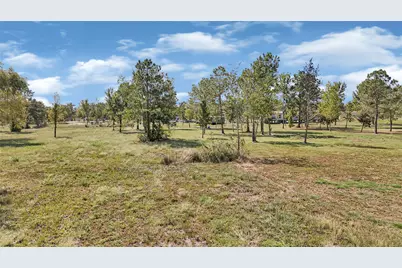 119 Road 48620, Dayton, TX 77535 - Photo 12