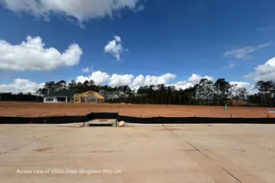 16851 Deep Wingbeat Way, Magnolia, TX 77354 - Photo 10