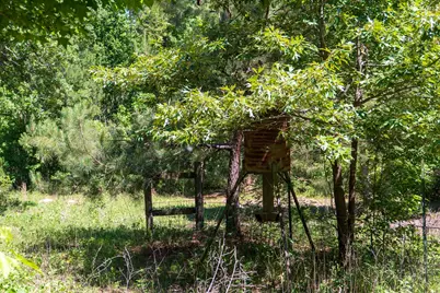 00 Fm 3016, Grapeland, TX 75844 - Photo 14