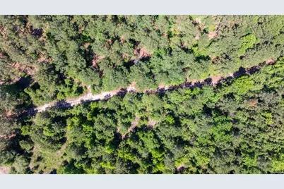 00 Fm 3016, Grapeland, TX 75844 - Photo 8