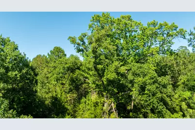 00 Fm 3016, Grapeland, TX 75844 - Photo 10