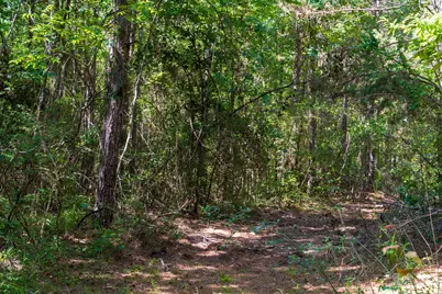 00 Fm 3016, Grapeland, TX 75844 - Photo 6