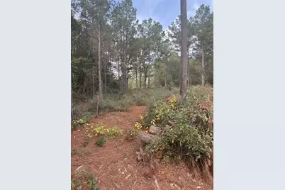 0 Basswood Lane, Plantersville, TX 77363 - Photo 1