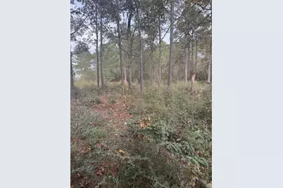 0 Basswood Lane, Plantersville, TX 77363 - Photo 4