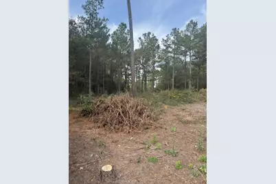 0 Basswood Lane, Plantersville, TX 77363 - Photo 2