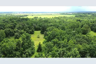 Tract #3 Cr 2065, Crockett, TX 75835 - Photo 12