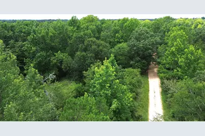 Tract #3 Cr 2065, Crockett, TX 75835 - Photo 4