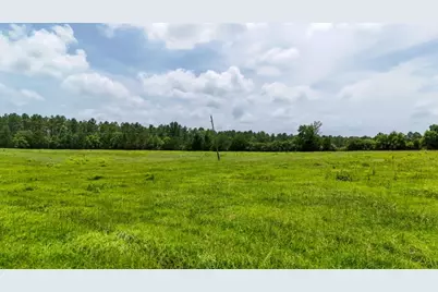 000 Cr 2780, Colmesneil, TX 75938 - Photo 28