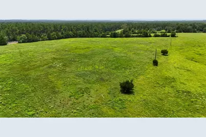 000 Cr 2780, Colmesneil, TX 75938 - Photo 8