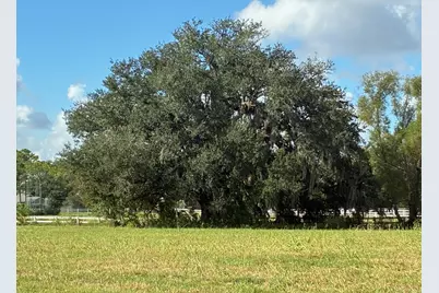 2934 Horse Trail Drive, Rosharon, TX 77583 - Photo 2
