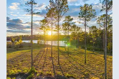 Lot 74 Western Road, Livingston, TX 77351 - Photo 8