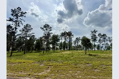 Lot 74 Western Road, Livingston, TX 77351 - Photo 2