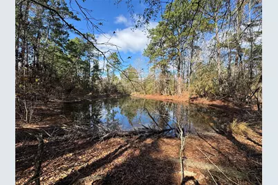 55 Lake Road, Riverside, TX 77320 - Photo 48