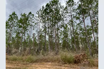 T-4 Farm To Market 1012, Newton, TX 75966 - Photo 10