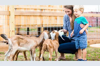 156 Ginger Garlic Loop, Richmond, TX 77406 - Photo 14