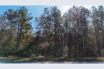 5-23-14 Rim Rock Road, Huntsville, TX 77340 - Photo 12