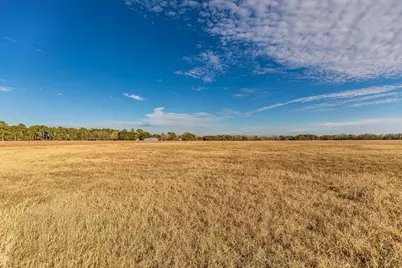 0 Miller Road, Bellville, TX 77418 - Photo 4