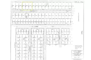 25533 Northampton, New Caney, TX 77357 - Photo 2