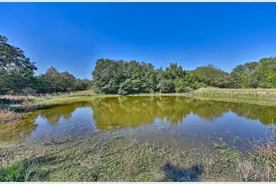 Tbd Ullrich Road, Carmine, TX 78932 - Photo 10