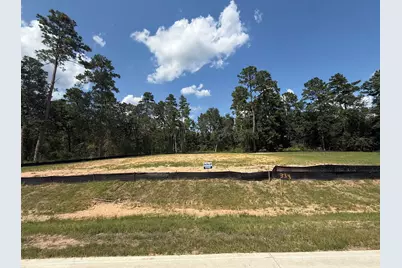 317 Louvenia Court, Pinehurst, TX 77362 - Photo 2