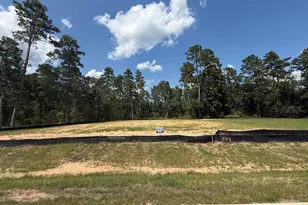 317 Louvenia Ct, Pinehurst, TX 77362 - Photo 2