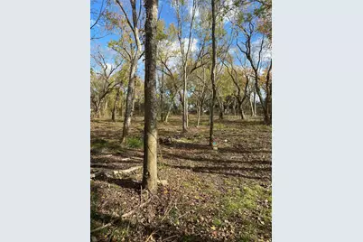 13700 Almeda School Road, Houston, TX 77047 - Photo 2