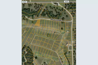Lot 14 Charleston Street, Trinity, TX 75862 - Photo 2