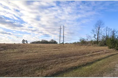 Lot 14 Charleston Street, Trinity, TX 75862 - Photo 4