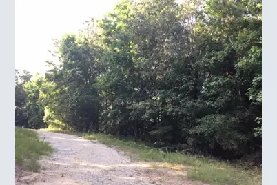 272 Artesian, Onalaska, TX 77360 - Photo 4