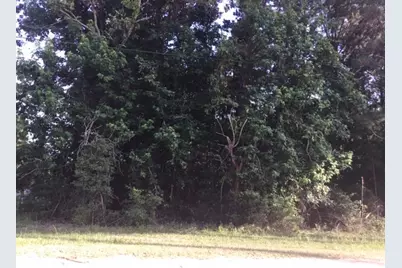 272 Artesian, Onalaska, TX 77360 - Photo 2