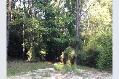 272 Artesian, Onalaska, TX 77360 - Photo 6