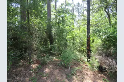 361 Noel, Livingston, TX 77351 - Photo 4