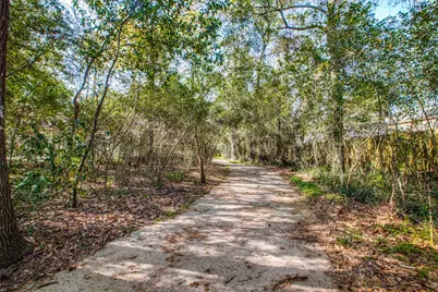 24 E Torch Pine Circle, The Woodlands, TX 77381 - Photo 36