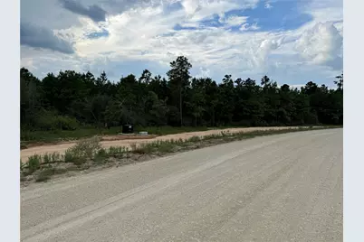 16238 Ridge Oak Road, Willis, TX 77378 - Photo 12