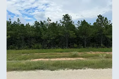 16238 Ridge Oak Road, Willis, TX 77378 - Photo 14