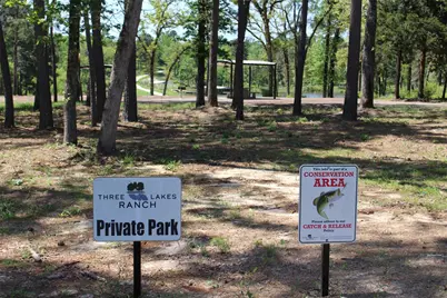 Tract 159 Private Road 1311, Centerville, TX 75833 - Photo 6